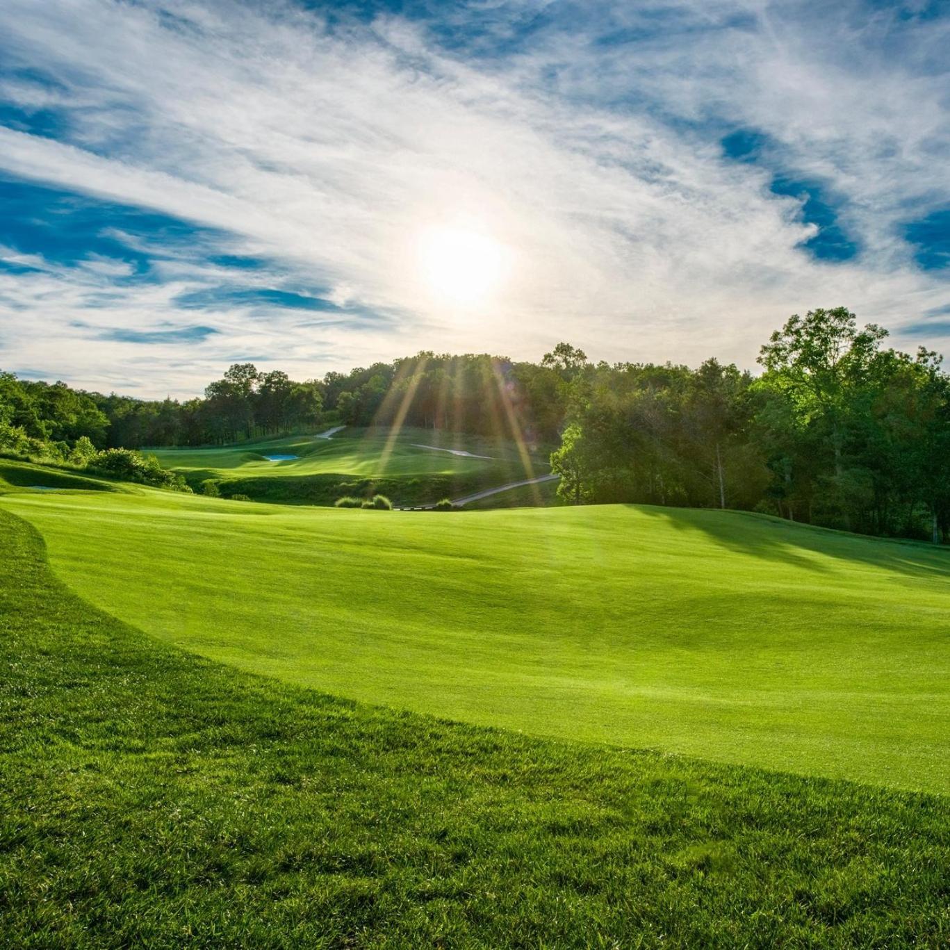Personal Getaway. Golf Resort Gem. Great Location! Брэнсон Экстерьер фото